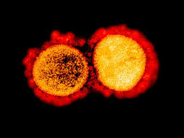 Im ard extra am montagabend erklärte die münchner virologin ulrike protzer, dass sie. Double Mutant Covid 19 Variant In India Latest Updates Here Special Reports Gulf News