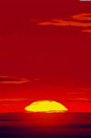 Atardecer Disney Wallpaper Lion King Pictures Lion King