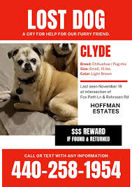 Scholtz take care of my maltese toby,who is 12 years old and he is still very healthy and happy dog. North Hoffman Veterinary Clinic Home Facebook