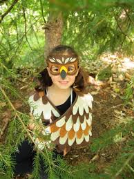 Falke Kostum Fliegen Wie Ein Falke Flugel Und Maske Hawk Diy Costumes Kids Wings Costume Nature Kids