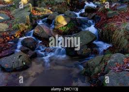 Wasserfall am Hang zwischen Felsen und Nadelwald im Banff National Park,  Alberta, Kanada, in den Rocky Mountains im Herbst Stockfotografie