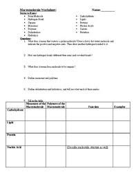 Bios 1083 worksheet 3 macromolecules i. Macromolecule Worksheet By Mr Johnsons Science Materials Tpt