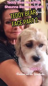 30 Second Quick Fire Teddy Bear #shaunnabernardin#SoAwkward  #groom#grooming#wahl#ggtv#clip#shave#satisfying#fy#f#teddybear#howto#30secondquickfire#fyp