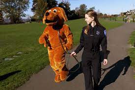 Matison To Become City Animal Control Officer | Kirkland Reporter