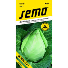 Image result for hlávková kapusta