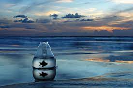Find sad pictures and sad photos on desktop nexus. Free Download Lonely People Solitude Mood Pet Images Emotion Alone Sad 3888x2592 For Your Desktop Mobile Tablet Explore 42 Sadness Background Sadness Wallpapers Sadness Wallpaper Sadness Inside Out Wallpaper