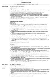 Adept at training and educating internal users on relevant cyber. Vp Information Security Resume Samples Velvet Jobs