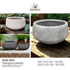 Image result for Stadmannia oppositifolia