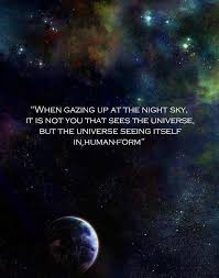 Image Result For Sagan Quote Universe Conscious Trippy Quotes Universe Quotes Universe
