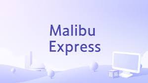 Malibu Express（film）_Baiduwiki