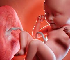 Wenn das baby unter bauchschmerzen oder blähungen leidet, greifen vielen. Fencheltee Fur Dein Baby Das Solltest Du Wissen Echte Mamas