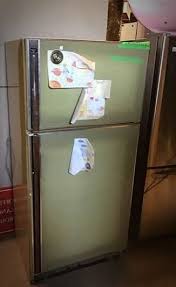 Image result for Dark Avocado 1977 Fedders