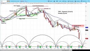 Tapestry Stock Outlook Drops As Revenue Misses Mark See It
