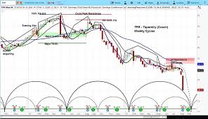 tapestry stock outlook drops as revenue misses mark see it