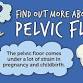 Women's Health, Exercise & Pelvic floor event image