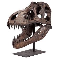 Decorative Objects Skull Decor Sculpture Dinosaur Decor