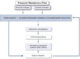 diagram of pathophysiology of portal hypertension the