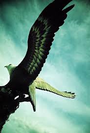 From the step back to nylon calculus, we have you covered. æµ®ç¾äº¤æ¡ å·¨é·¹å»£å ´ Eagle Square Langkawi Malaysia Lomography