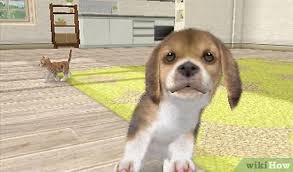 A standard male dog is commonly known as a dog. in technical terms, this implies that the dog hasn't fathered any young, nor has it been used for breeding. How To Make Your Nintendogs Love You 8 Steps With Pictures