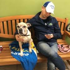 All holistic vets differ with their services just like our doctors. Best Holistic Vet Near Me July 2021 Find Nearby Holistic Vet Reviews Yelp