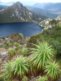 It S A Beautiful World Tasmania Australia Travel Beautiful World