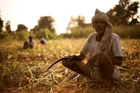 Unseasonal Rains & Destructive Hailstorms: Farmers Forced To Sell Their  Children In MP - The Logical Indian
