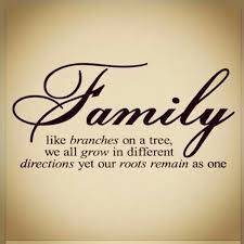 Love This Family Wall Quotes Mother Quotes Quotes
