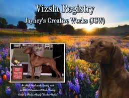 This breed is considered as cousin of vizsla breed. Vizsla Registry Vizslas Wirehaired Vizslas Vizsla Wv Breeder Registry Vizsla Wv Stud Dog Registry Vizsla Wv History Registry Vizsla Breeder Recognition Vizsla Wv Puppies Vizslas Wv S