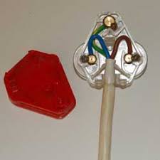 3 wire colors green, white and black. Home Dzine Home Diy How To Strip Cable And Wire A Plug