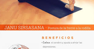 Janu Sirsasana Beneficios De La Practica De Yoga Centro De Yoga Dc Diego Cano Yoga Yoga Beneficios Centro De Yoga