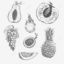 We did not find results for: Gambar Lukisan Buah Buahan Hitam Putih Cikimm Com