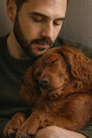 Blind dachshund rescue story