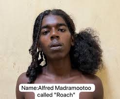 CHARMING IDOL 🌼💐🌷🌷🌸🌹🌹🌼🌼💐🌸🌺🌹🦅