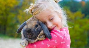 Moreover rabbits love playing with children, so especially children adore this pet. Best Small Animal Pets For Children