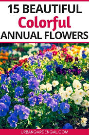 On saturday, april 24, in the formal garden at birmingham botanical gardens. 15 Colorful Annuals For Your Flower Garden Annual Flowers Annual Flower Beds Year Round Flowers