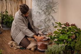 Die meisten kräuter sind vollkommen winterhart und benötigen kaum pflege. Balkon Krauter Uberwintern Garten Fraulein Der Garten Blog