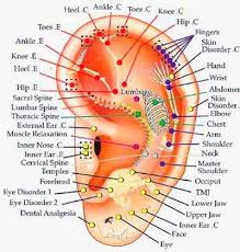 Well Being Auricular Therapy Ear Reflexology Piercing For Migraine Relief Acupressure Points