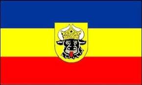 Die flagge ist im gesetz über die hoheitszeichen des landes vom 29. Mecklenburg Vorpommern Flagge 150 250cm