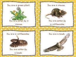 Science Food Chain Predator Prey Game Activity By Hoppytimes Teachers Pay Teachers Science Food Chains Activity Games Activities