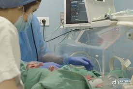 Medical complications in multiple births of this kind often mean that some of the babies do not reach full term. K9epztkpnmuzdm