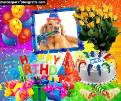Marco de collage de cumpleaños de diseño plano de fondo de ladrillo. 100 Marcos De Fotos De Cumpleanos Gratis