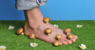 Hausmittel Gegen Fusspilz Fusspilz Ist Eine Infektion Der Haut Am Fuss Feuchtigkeit Warme Und Dunkelheit Fusspilz Hausmittel Fusspilz Nagelpilz Hausmittel