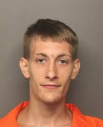 Glen Wild brothers arrested