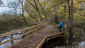 Här hittar du alla julbord nära näsby, kristianstad. Nasby Falt Biosfaromrade Kristianstads Vattenrike