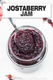 Image result for jostaberry