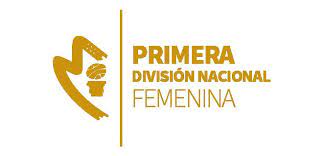 Toda la info de la primera b nacional al instante. Plantillas De La Fase Final Primera Nacional Femenina 2019 En Juego Fbm Senior Federacion De Baloncesto De Madrid