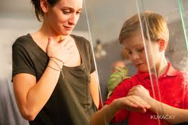 Když se dozvědí, že došlo k záměně, musejí se rozhodnout, co udělají. Kukacky Ceska Televize