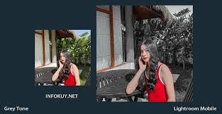 Terdapat 5 rumus yang akan admin berikan kepada kamu antara lain. 2 Tutorial Edit Foto Grey Tone Lightroom Mobile Infokuy