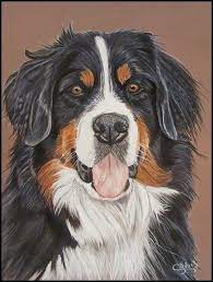 le blog animalier portraits d animaux peintures de chien dessin coloriage arbre singe