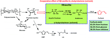 They are absorbed mostly as glucose in the case of starches and fructose and galactose in other cases. Conversion Of Carbohydrates To Furfural Via Selective Cleavage Of The Carbon Carbon Bond The Cooperative Effects Of Zeolite And Solvent Green Chemistry Rsc Publishing